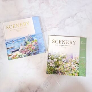 AGENDA SCENERY