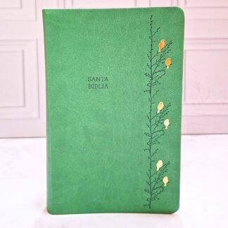BIBLIA VERDE