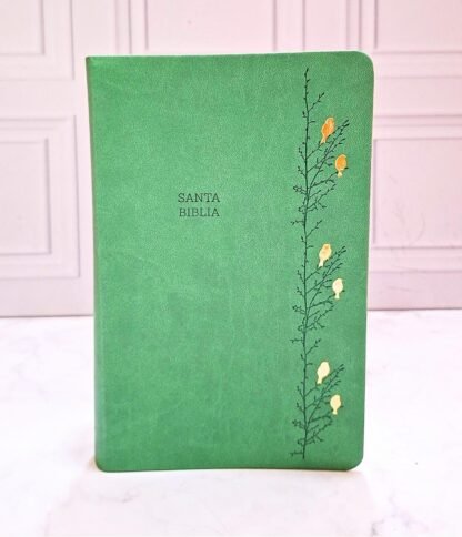 BIBLIA VERDE